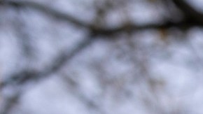 Defensores de inmigrantes presionan al Senado para que apruebe un camino a la ciudadanía para indocumentados.