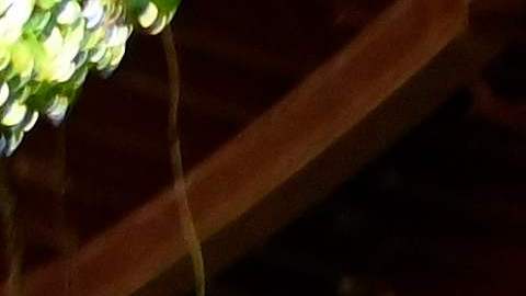El Mozote El Salvador