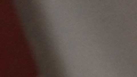 Para recibir información o hacer citas de vacunación en la ciudad de Nueva York, pueden visitar www.vaccinefinder.nyc.gov.