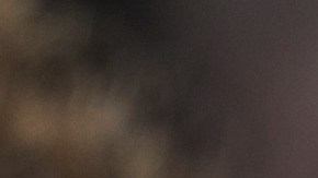 Covid-19 South Africa