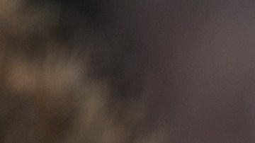 Covid-19 South Africa