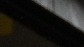 Escocia sugiere posponer las fiestas navideñas a medida que aumenta la variante de Ómicron.