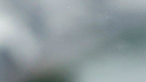 El 6 de enero del 2021, el expresidente Trump dio un discurso a sus seguidores, previo a la invasión al Capitolio.