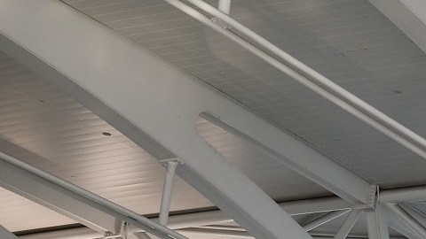 EE.UU. endurecerá requisitos a viajeros extranjeros por variante Ómicron, podría pedir cuarentena de 7 días