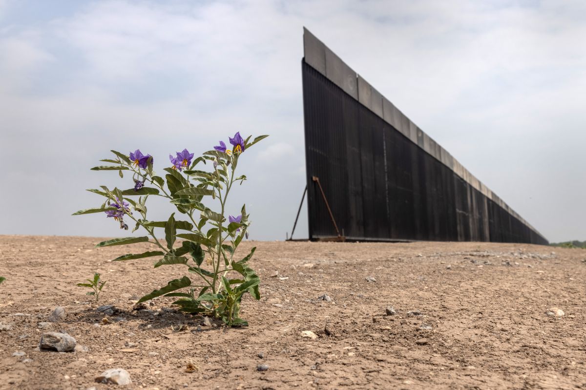 Texas prosecutor asked court to order Biden to resume border wall construction