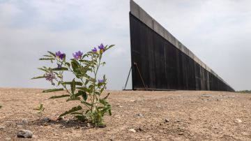 Trump Border Wall Stands Unfinished Following Biden Construction Suspension