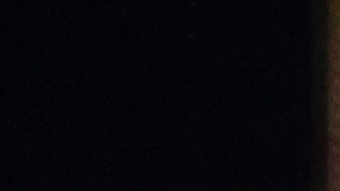 Chris Martin declaró su amor a Dakota Johnson este año durante un concierto