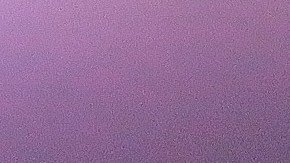 Julio César Chávez Jr.