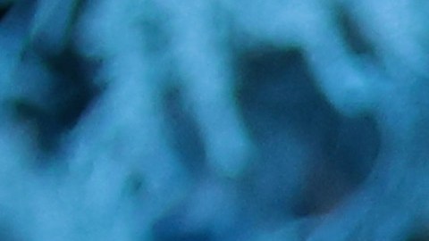 Lil Uzi Vert se quedó sin seguro de vida por hacerse un piercing en la frente.