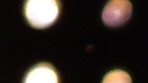 Arnold Schwarzenegger.