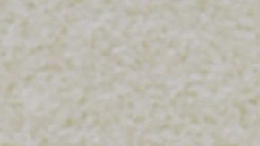 Natti Natasha y Raphy Pina