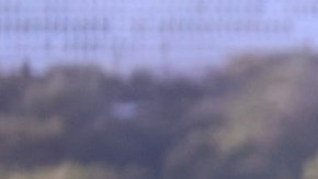 Por qué Michelle Obama resurge como posible candidata presidencial en 2024