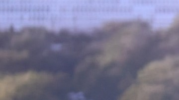 Por qué Michelle Obama resurge como posible candidata presidencial en 2024