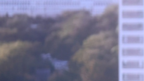 Por qué Michelle Obama resurge como posible candidata presidencial en 2024