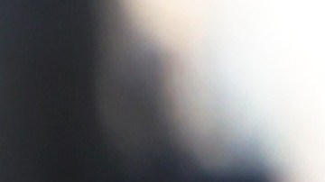 el Departamento de Policía de Nueva York ha cancelado todos los días libres de los policías uniformados