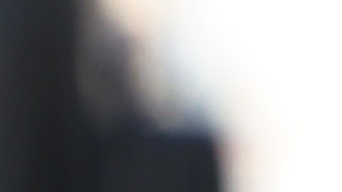 el Departamento de Policía de Nueva York ha cancelado todos los días libres de los policías uniformados