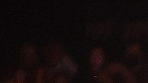 Canelo Alvarez v Caleb Plant