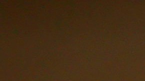 Vacunas Nueva Zelanda