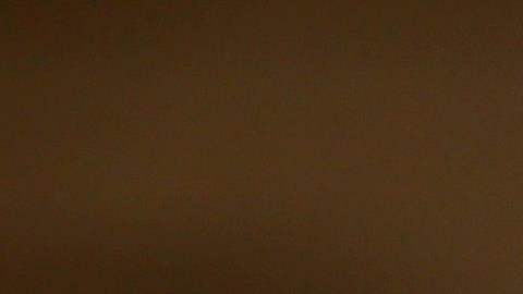 Vacunas Nueva Zelanda