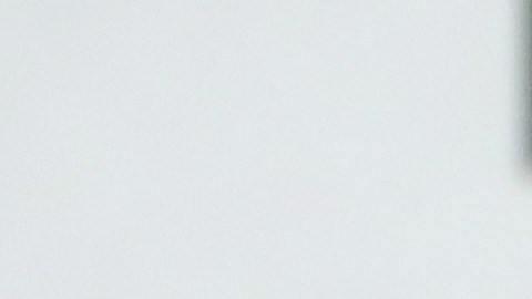 Zlatan Ibrahimovic