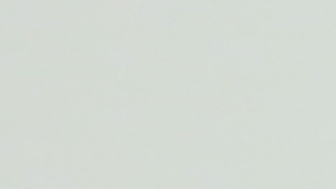 Bethenny Frankel participó en “The Apprentice: Martha Stewart”