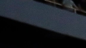 Atlas v Leon - Final Torneo Grita Mexico A21 Liga MX