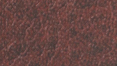 Esta vez Jennifer López no le atinó.