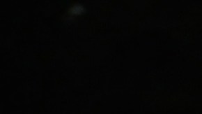 “Boofhead”, un cocodrilo de unos 13 pies, ya es célebre entre los pescadores de esa zona del río.