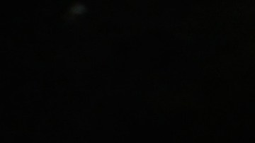 “Boofhead”, un cocodrilo de unos 13 pies, ya es célebre entre los pescadores de esa zona del río.