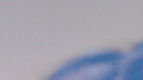 Sarah Jessica Parker.