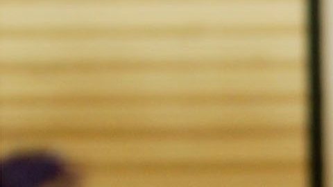 Macaulay Culkin de niño fue el protagonista de la tradicional película