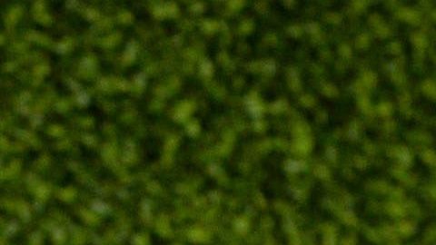 Video: Marlene Favela muestra la decoración navideña de su hogar