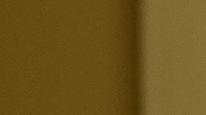 El líder de la mayoría en el Senado, Chuck Schumer, y el senador Joe Manchin.