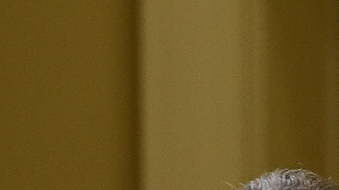 El líder de la mayoría en el Senado, Chuck Schumer, y el senador Joe Manchin.