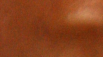 Clara Shellman, Tampa