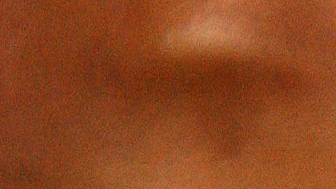 Clara Shellman, Tampa