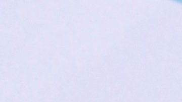 Conoce el supuesto cabaret que tenía el esposo de Galilea Montijo en Acapulco