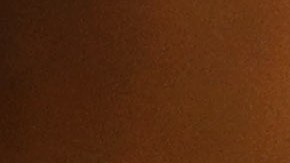 dinosaurio hallado en china huevo