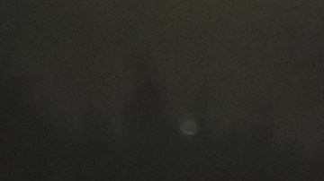 Canelo Alvarez v Julio Cesar Chavez Jr.