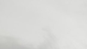 James Cameron y el elenco de 'Avatar 2' vivieron en la selva durante varios días.