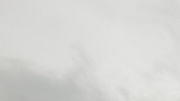 James Cameron y el elenco de 'Avatar 2' vivieron en la selva durante varios días.