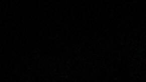 El fósil fue descubierto en un trozo de piedra arenisca en una playa de Howick Bay en Northumberland.