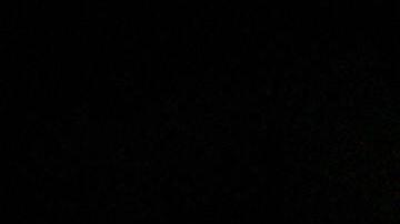 El fósil fue descubierto en un trozo de piedra arenisca en una playa de Howick Bay en Northumberland.