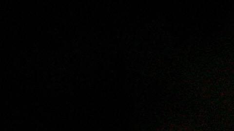 El fósil fue descubierto en un trozo de piedra arenisca en una playa de Howick Bay en Northumberland.