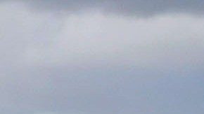 El estudiante fue hallado muerto en una zona pantanosa cercana al campus.