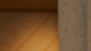 Alex Rodriguez honra a su ex esposa Cynthia Scurtis por su cumpleaños.