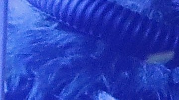 Spider-Man: Homecoming