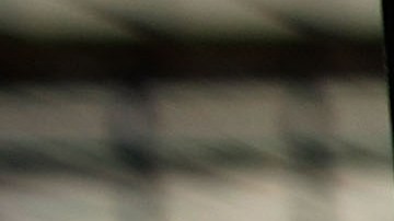 El niño entró en una zona enjaulada, donde sus abuelos criaban perros.