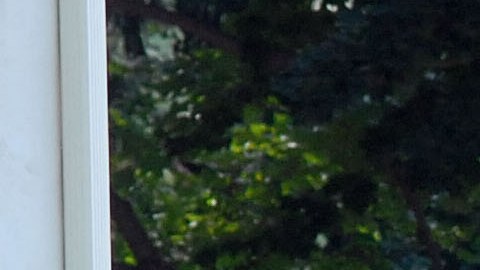 Greenville, South Carolina