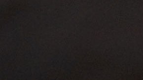 Ninel Conde tiene dos propiedades